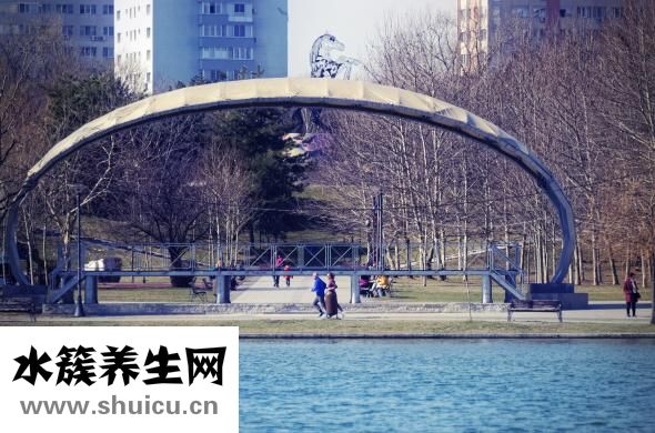 離婚后怎么才能復婚