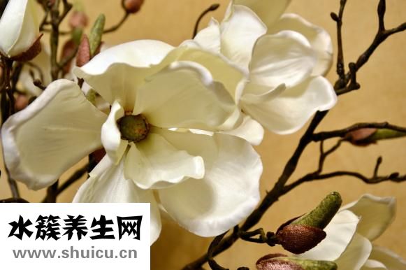 女人性欲強(qiáng)怎么抑制