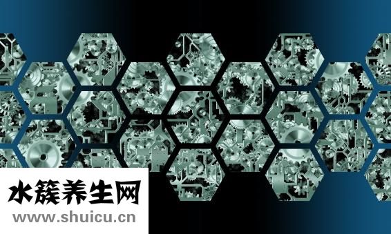 生物技術專長怎么寫