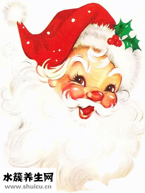 寵物醫生怎么學