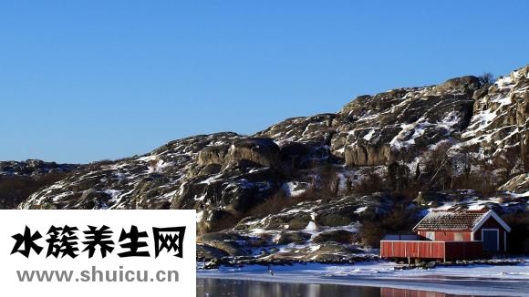 空腹吃月餅了怎么辦