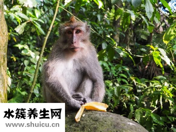 臉頰有肉怎么瘦下來