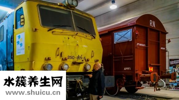 疫苗是怎么運輸的