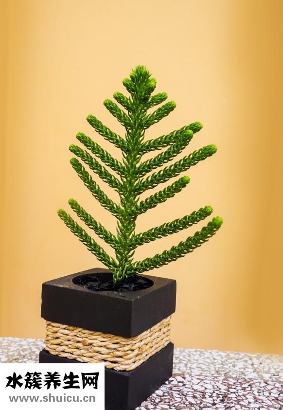 怎么拒絕女同性戀