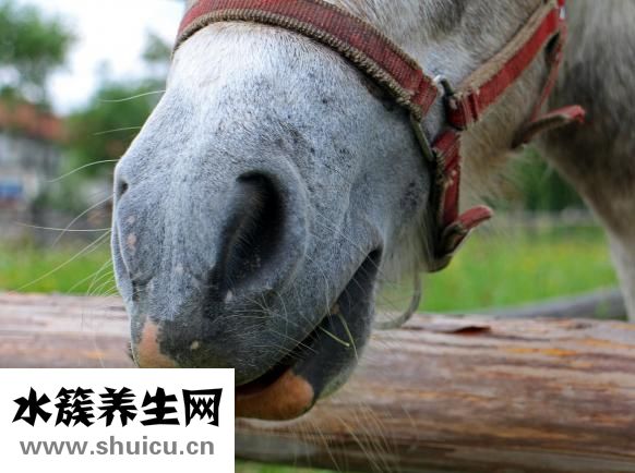 表皮毛痣怎么治療