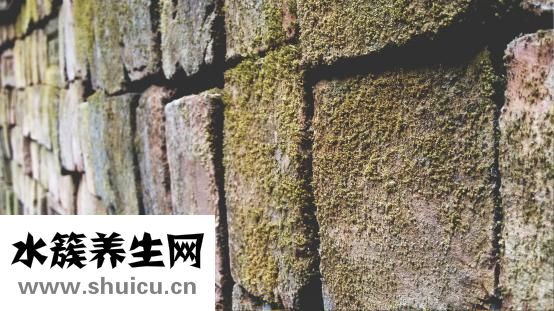 超大塊肌肉男怎么