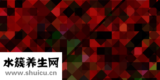 海洋生物球怎么養大