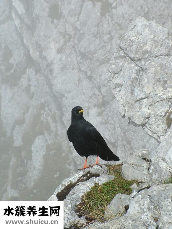 小朋友偷東西怎么辦