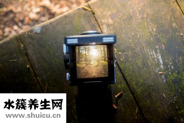 囗才不好怎么訓(xùn)練