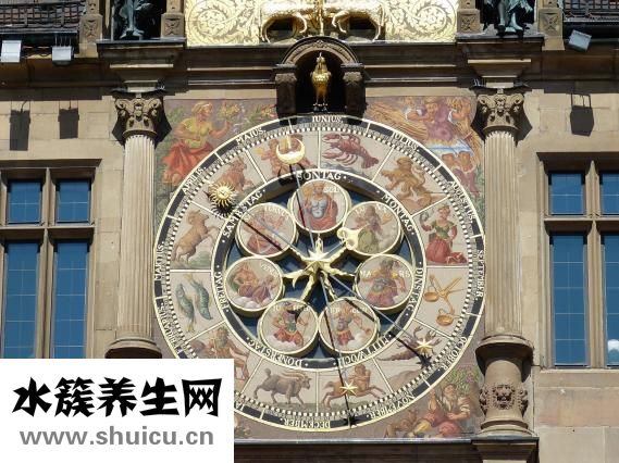 牛不吃不喝怎么辦