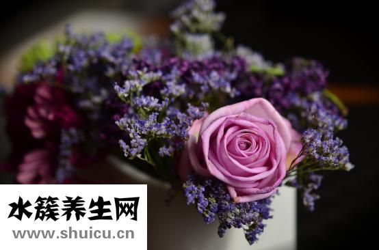 怎么減肚子贅肉