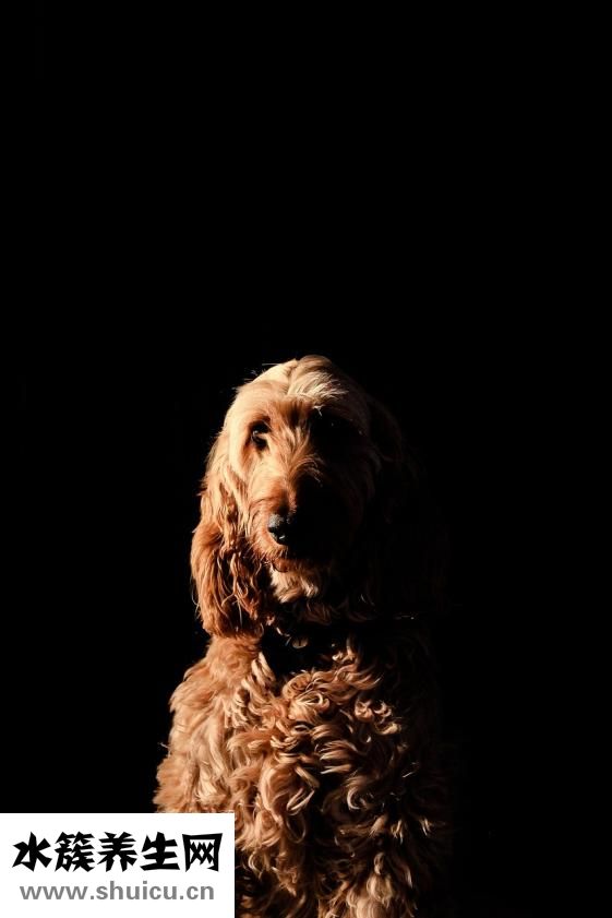 怎么讓汗毛變細