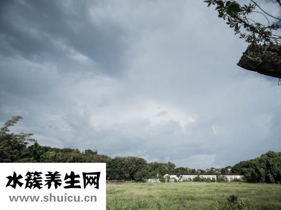 蜂巢長蟲怎么辦