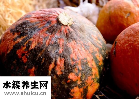 怎么讓多肉徒長