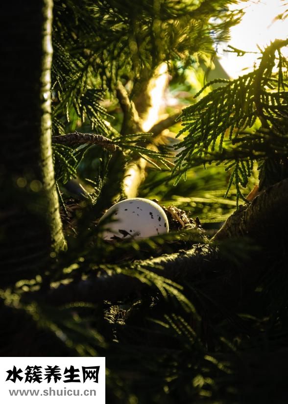 怎么避免在外吃飯