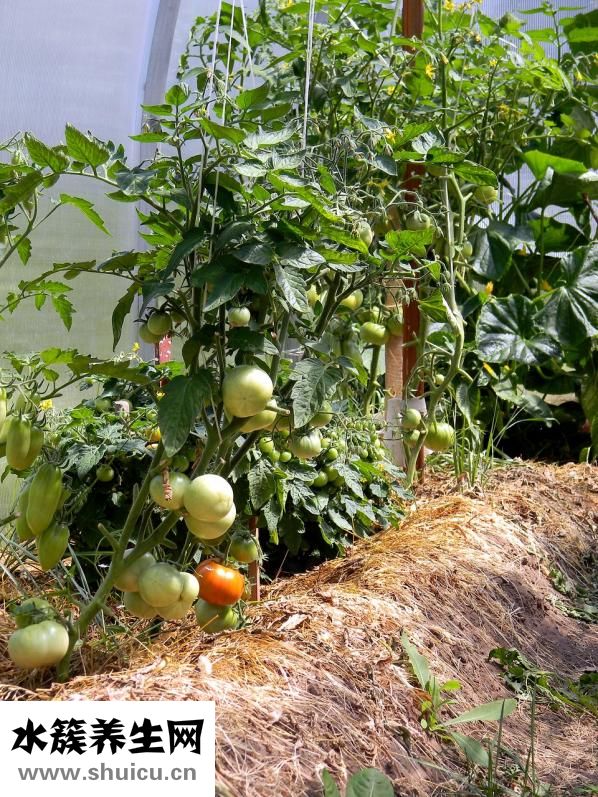 酒后頭暈頭痛怎么辦