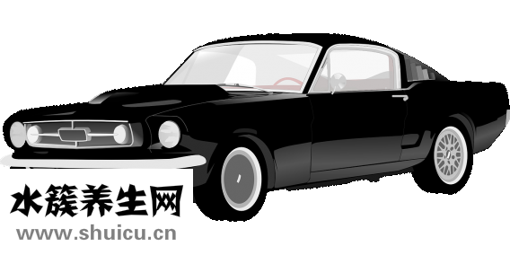 汽車(chē)染色怎么辦
