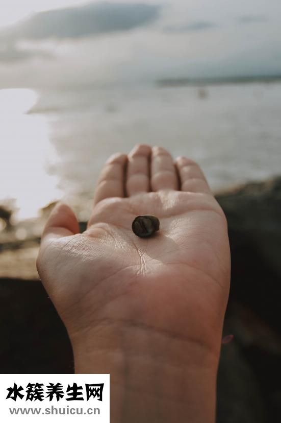 燒烤怎么烤才不會焦