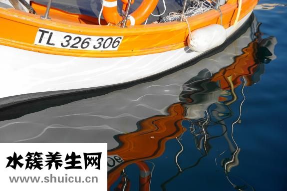 白菜幫怎么腌制好吃