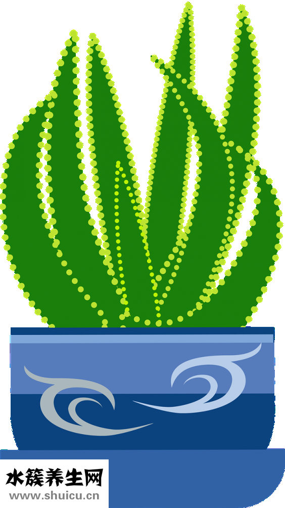 菠蘿紋怎么縮針