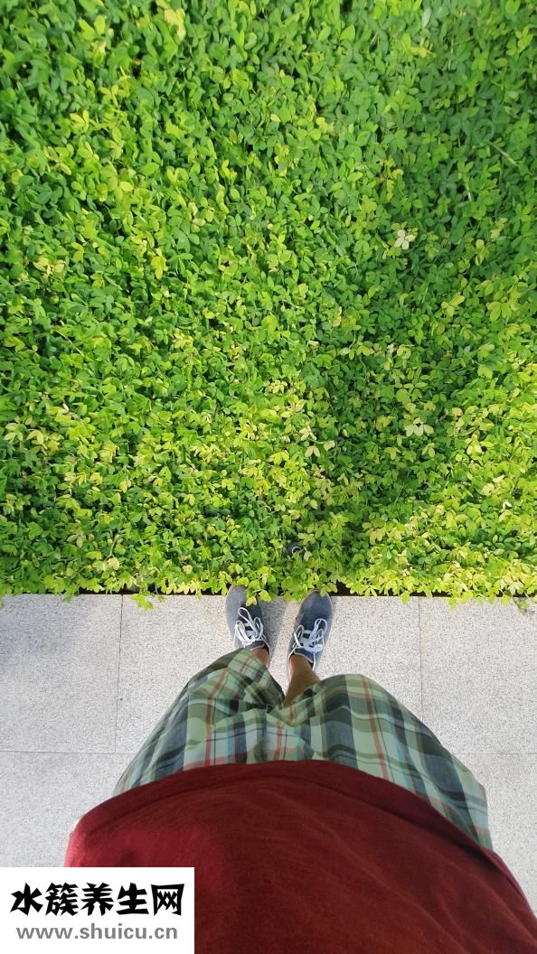 怎么洗頭預防脫發