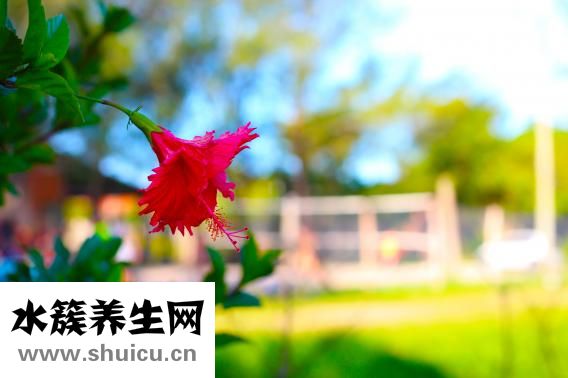 酵母過期怎么辦