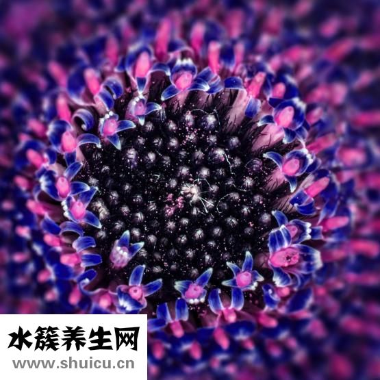 表格總寬怎么查