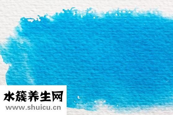 蔬菜水果怎么開