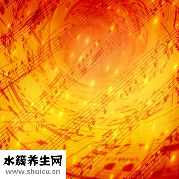 焯好的白菜怎么做餡