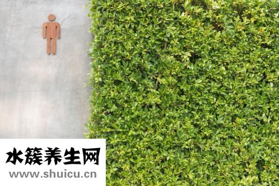 孕晚期怎么坐車