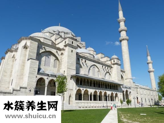 國際現(xiàn)貨原油怎么炒