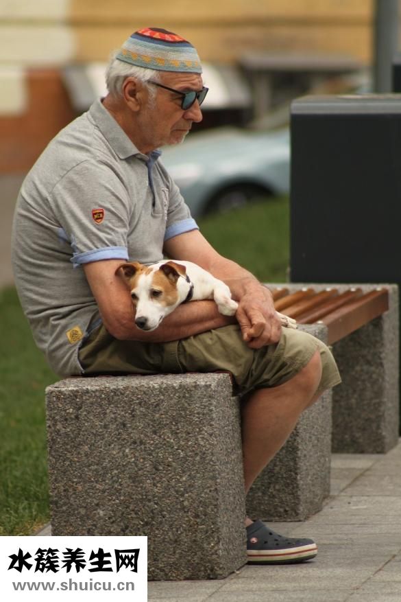 小雞長大了怎么辦