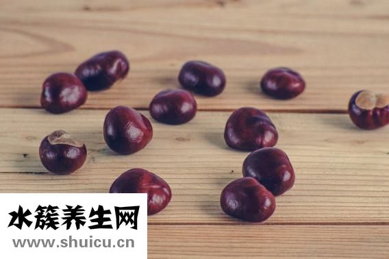 板栗怎么才發芽