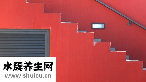 怎么有效的健身