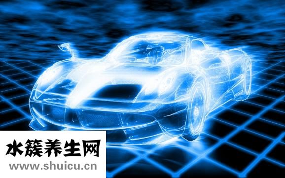 新海參怎么處理