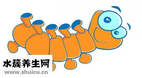 屋里有蜈蚣怎么清除