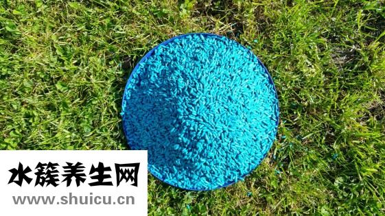 山枝子怎么泡酒