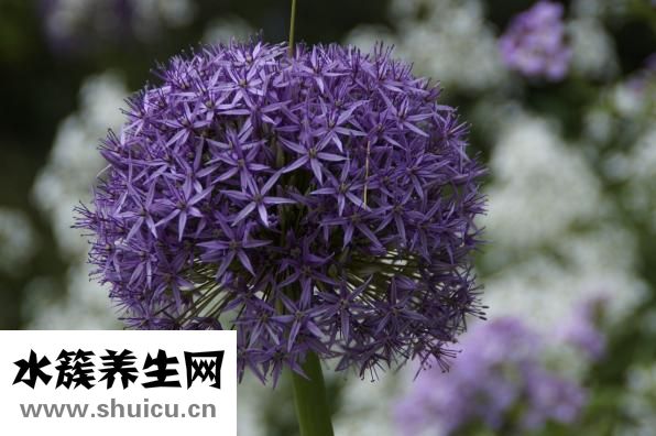 平時怎么鍛煉陰莖