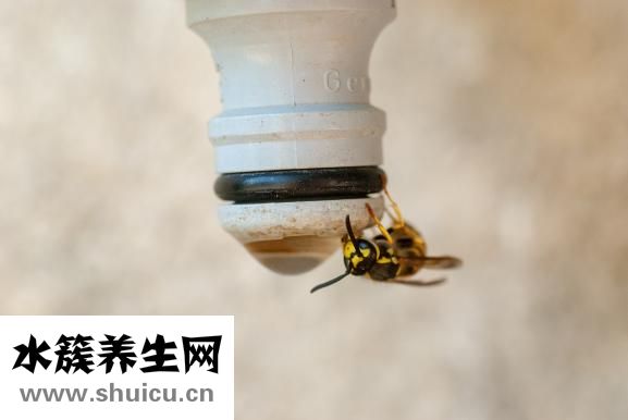 怎么讓陰道夾的緊呢