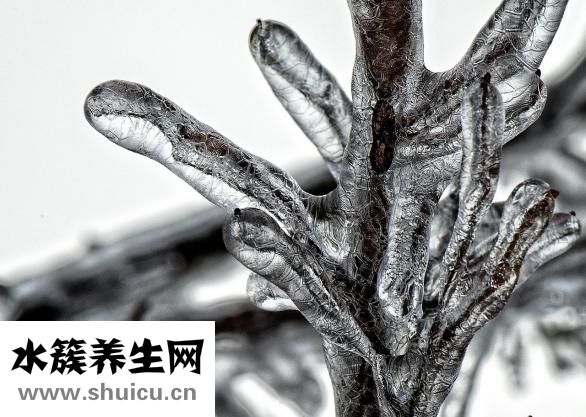 求財符怎么使用