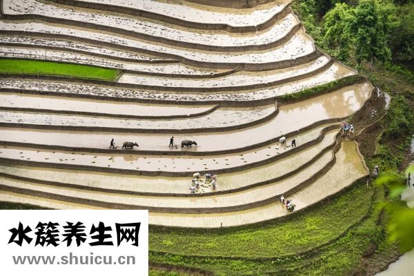 易簡(jiǎn)理發(fā)器怎么拆裝