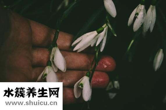 平然是怎么解釋