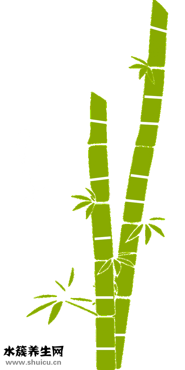 甘蔗煲湯怎么做