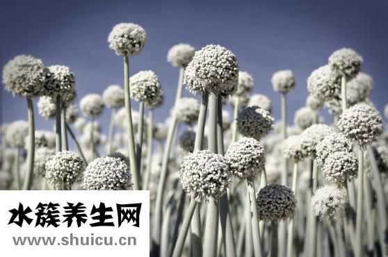 脖子癢咳嗽是怎么了