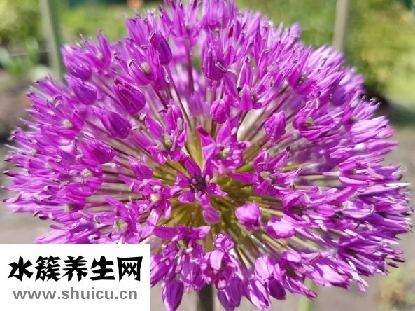 脖子癢咳嗽是怎么了