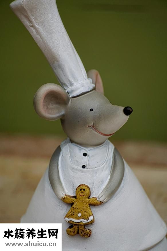 山枝子怎么泡酒