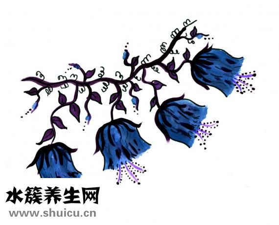 炒蝦仁發苦怎么回事