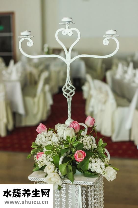 耳釘的釘斷了怎么辦