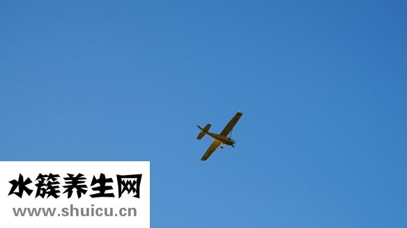 好像老婆怎么辦