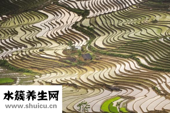 易簡(jiǎn)理發(fā)器怎么拆裝